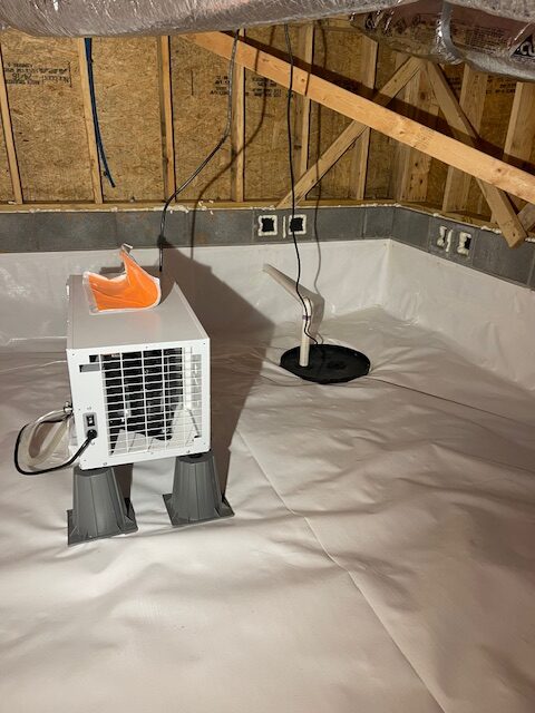 Signs You Need Moisture Control