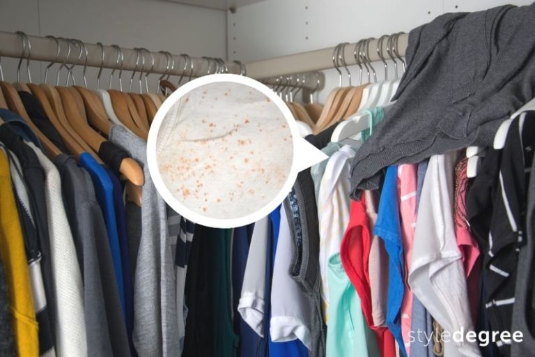 How To Reduce Moisture In Closet