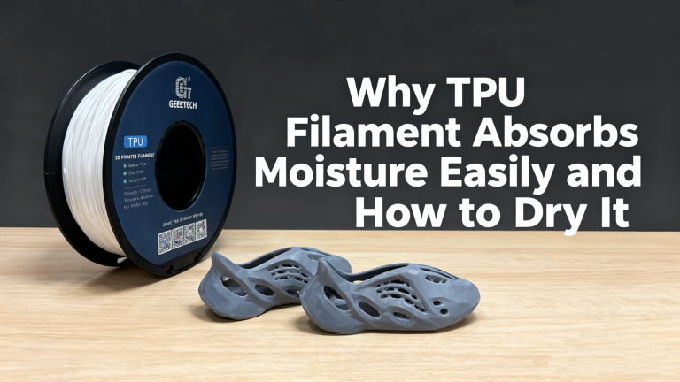 Cheapest Way To Absorb Moisture