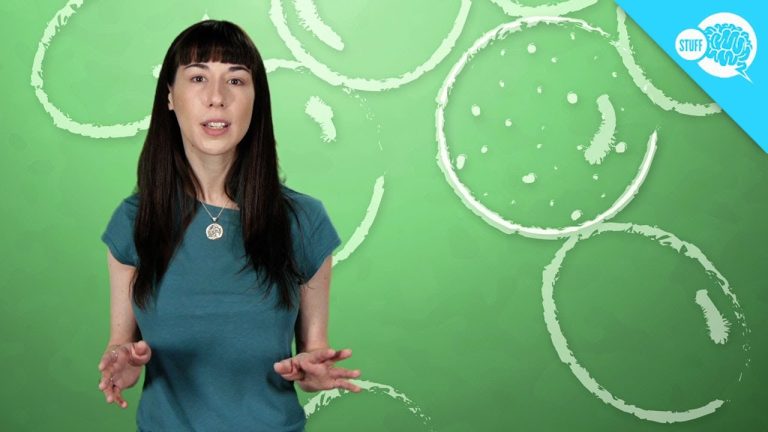 How Does Silica Gel Work