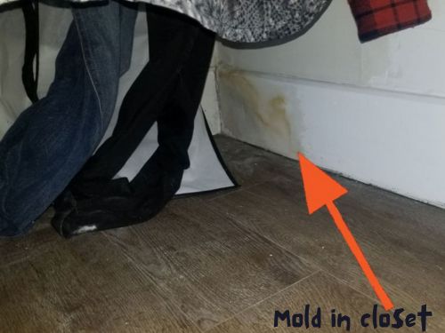 Mold in closet